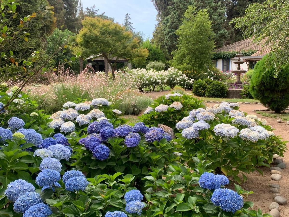 Bed & Breakfast ,Casa De Campo San Esteban,Linares Miraflores Exteriör bild