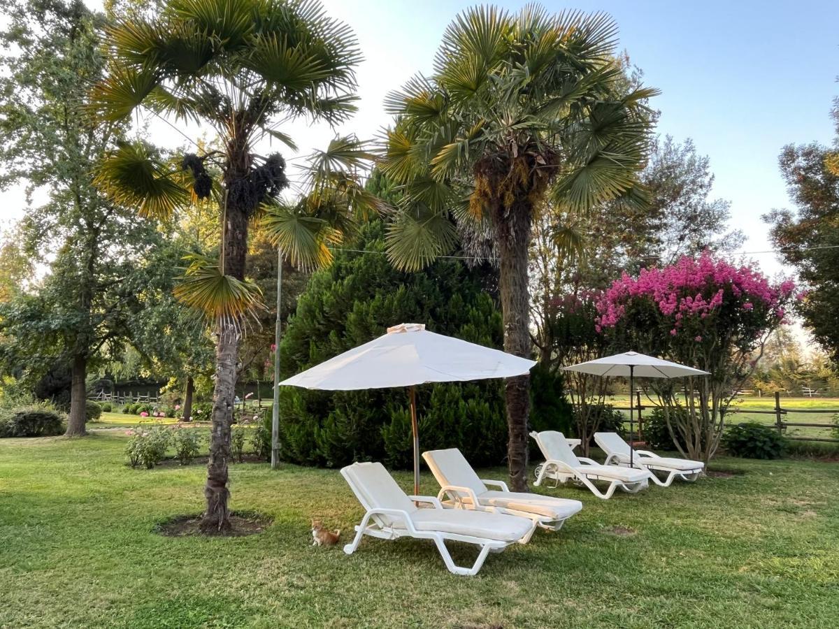 Bed & Breakfast ,Casa De Campo San Esteban,Linares Miraflores Exteriör bild